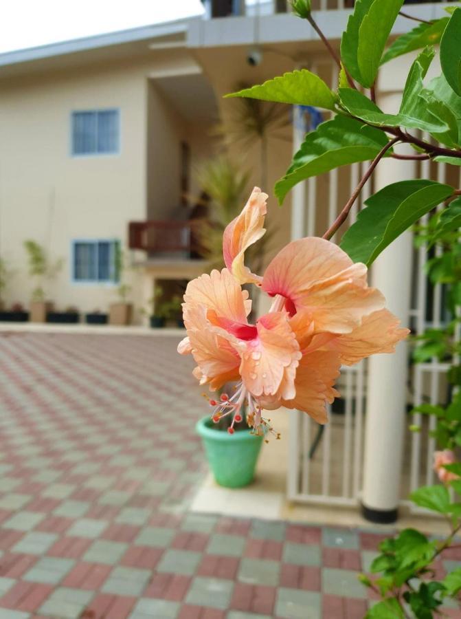 Amalia Apartments Paramaribo Kültér fotó